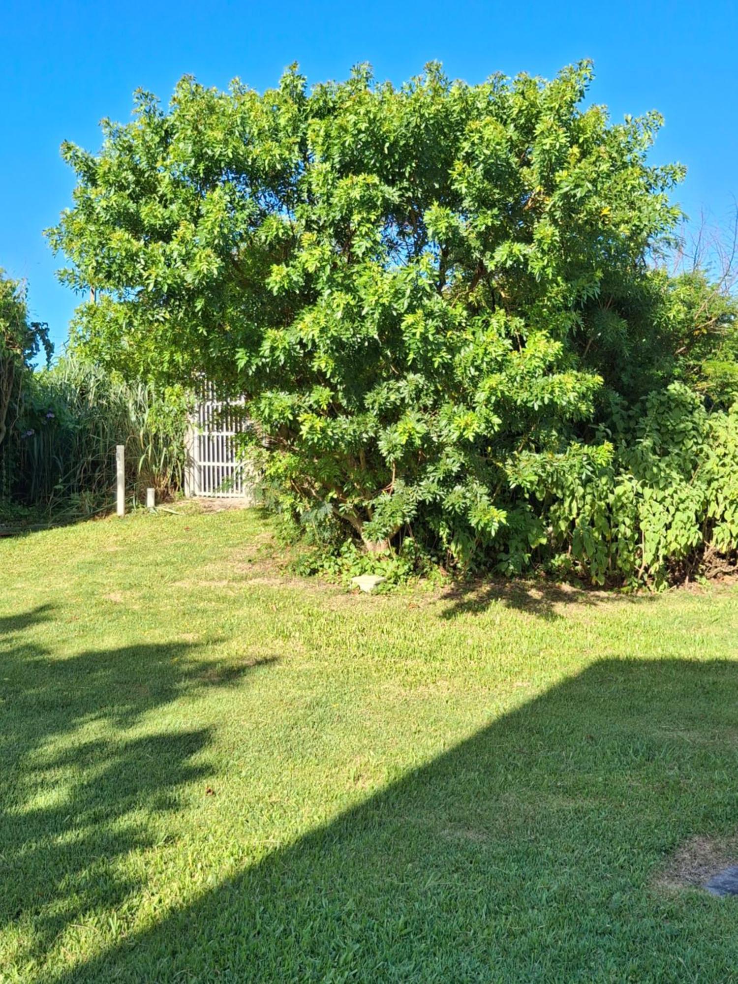 Apartamento 2 Andares, Na Frente Da Florianópolis